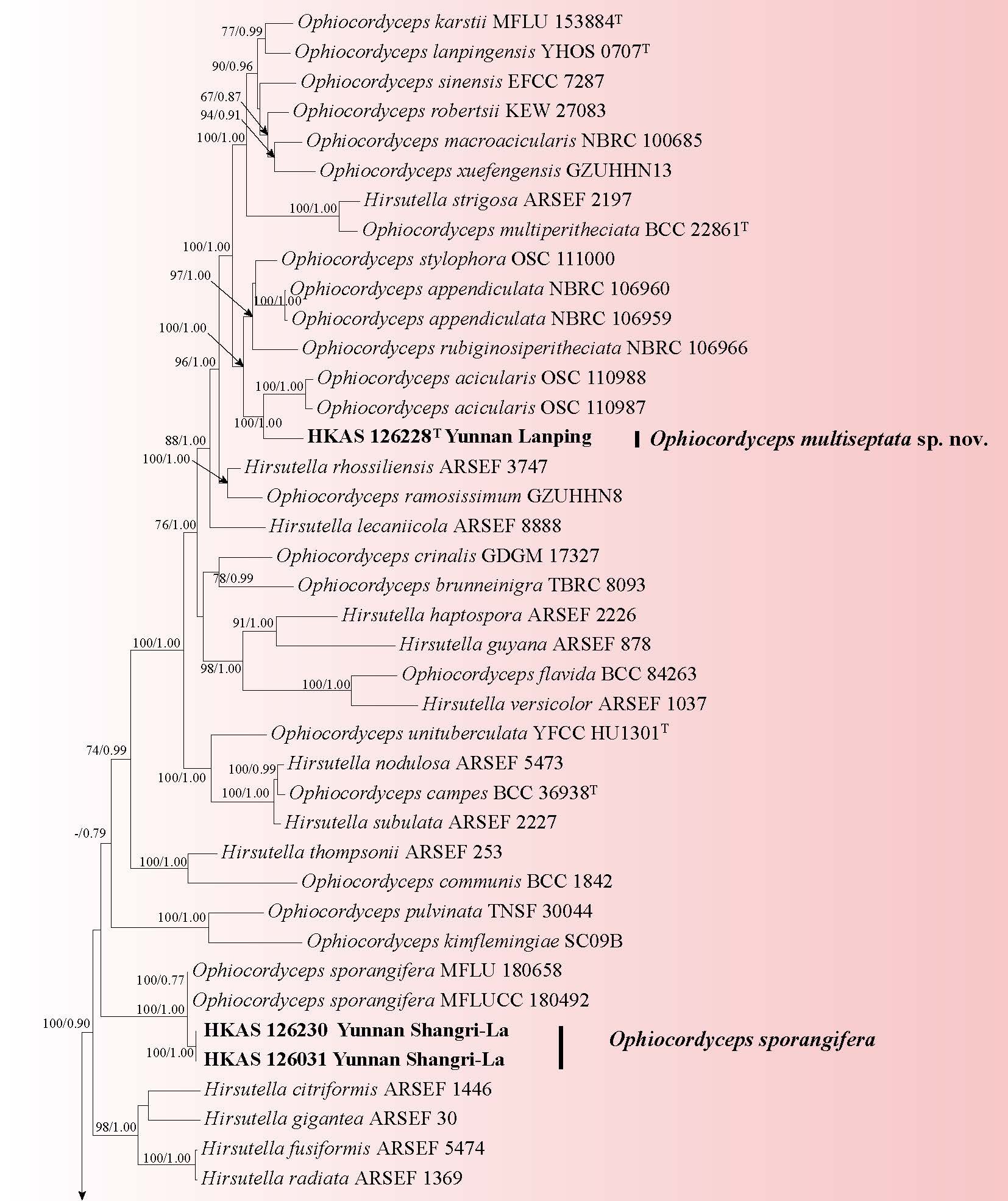 Figure 77